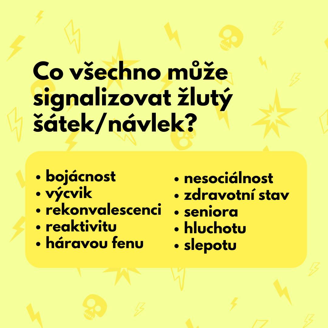 zluty satek vencimstylove 3